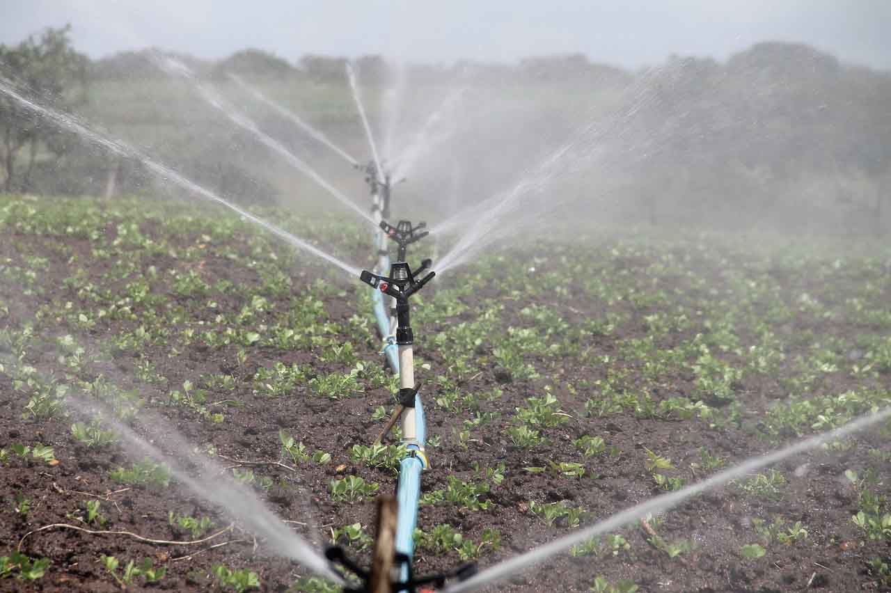 Irrigation: A Game Changer for Uganda’s Agriculture