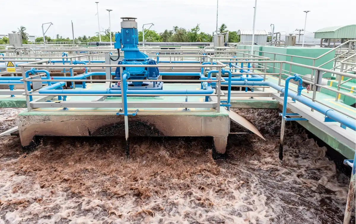 Wastewater Treatment and Management – A Conspectus of the Types, Processes, and Maintenance of Municipal and Industrial Wastewater Treatment Plants