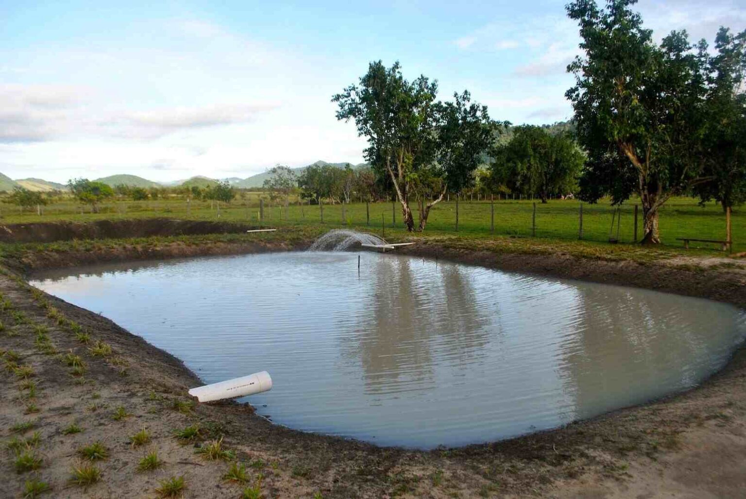 Earthen Fish Pond 1