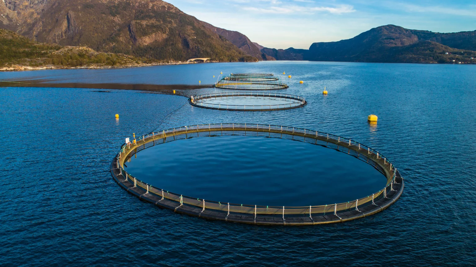 Floating Fish Cages 2