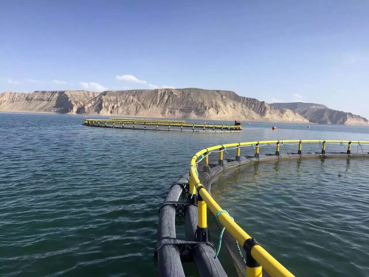 Floating Fish Cages 3