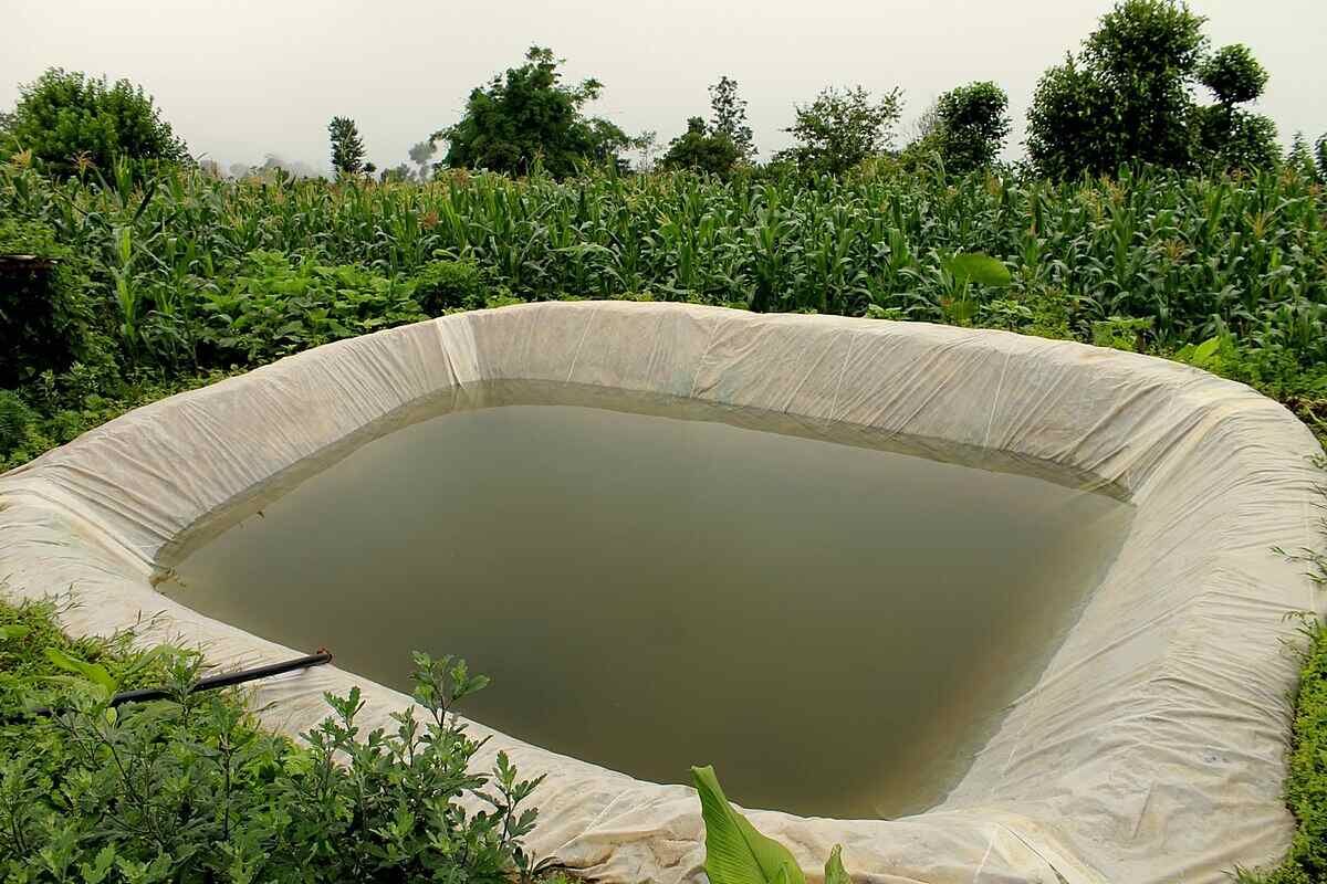 Aquaculture in Uganda – A Disquisition of the Types, Selection Criteria, and Maintenance of Fish Ponds